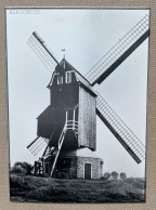 BIKSCHOTE - Blauwe Molen - 14,5 X 10,5 Cm. (REPRO PHOTO !) - Orte