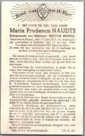 Bidprentje Sinaai - Naudts Maria Prudence (1870-1944) - Images Religieuses