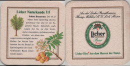 5005193 Bierdeckel Quadratisch - Licher - Beer Mats