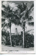 AUSTRALIA - QUEENSLAND - THE TWO PALMS, MT ISA RP - Other & Unclassified