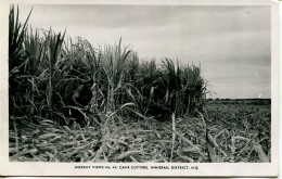 AUSTRALIA - QUEENSLAND - INNISFAIL - CANE CUTTERS RP - Other & Unclassified