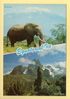 KENYA : Kilimanjaro / Elephant / Mount Kenya / Equatorial Ice (format 17 X 12 Cm)  (voir Scan Recto/verso) - Kenia