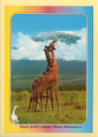 KENYA : Masai Giraffe Against Mount Kilimanjaro (format 17 X 12 Cm)  (voir Scan Recto/verso) - Kenya