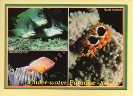 KENYA : Under-water Paradise. Kenya. Multivues (vie Aquatique) (format 17 X 12 Cm)  (voir Scan Recto/verso) - Kenya