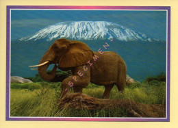 KENYA : Majestic Kilimanjaro. Mighty Elephant (format 17 X 12 Cm)  (voir Scan Recto/verso) - Kenia