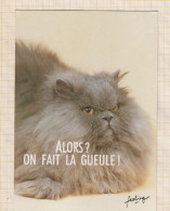 24E38 CHAT CHATS CAT Illustrateur EN BONNE COMPAGNIE ALORS ? ON FAIT LA GUEULE! - Katten