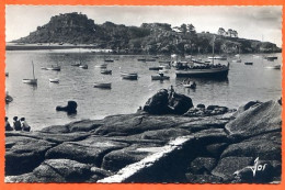 22 TREBEURDEN Les Rochers Du Port Et Presqu'ile Du Castel  - Trébeurden