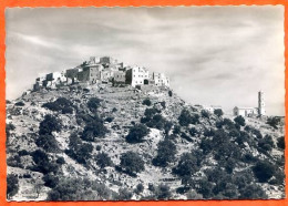 20 SAINT ANTONINO Balagne Pittoresque  Corse Dentelée Carte Vierge TBE - Andere & Zonder Classificatie