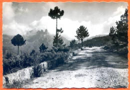 20 COL DE BAVELLA Dentelée Carte Vierge TBE - Other & Unclassified