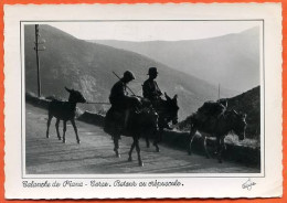 20 Corse Retour Au Crepuscule Dans Les Calanches De Piana Anes Voy 1955 - Other & Unclassified