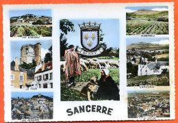 18 SANCERRE Multivues Berry Blason St Satur Chavignol Vendanges  Dentelée - Sancerre