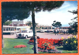 17 ROYAN Front De Mer Vu Des Jardins Du Casino Voitures Dentelée Carte Vierge TBE - Royan