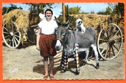 17 ILE DE RE  Ane à Culotte Voy 1963 - Donkeys
