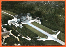 10 BRIENNE LE CHATEAU Vue Aerienne Le Château  CIM - Other & Unclassified