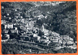 06 SAINT MARTIN VESUBIE Vue Générale Dentelée Carte Vierge TBE - Saint-Martin-Vésubie