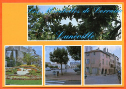 54 LUNEVILLE Multivues Les Mirabelles De Lorraine Carte Vierge TBE - Luneville
