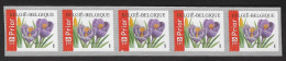 R108 - Krokus In Strook Van 5 - Postfris MNH - Coil Stamps