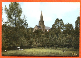 50 QUETTREVILLE SUR SIENNE  Vue Panoramique  Et L Eglise  CIM Carte Vierge TBE - Other & Unclassified