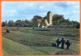 50 MARIGNY MONTREUIL SUR LOZON Cimetiere Militaire Allemand DI MARIO Dentelée Carte Vierge TBE - Other & Unclassified