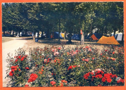 50 AGON COUTAINVILLE Le Camping Le Martinet Carte Vierge TBE - Autres & Non Classés