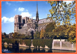 75 PARIS Notre Dame De Paris Carte Vierge TBE - Places, Squares