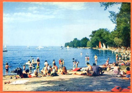 74 SCIEZ La Plage CIM Carte Vierge TBE - Sciez