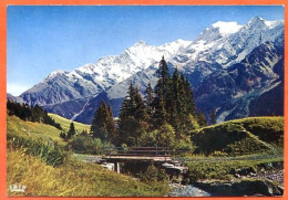 74 Panorama Sur Le Mont Blanc Carte Vierge - Autres & Non Classés