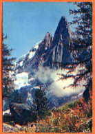 74 CHAMONIX Les Drus Et L'Aiguille Verte Depuis Le Montenvers Carte Vierge TBE - Chamonix-Mont-Blanc