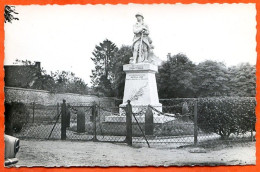 61 REMALARD Le Monument Aux Morts Carte Vierge TBE - Remalard