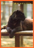 57 Moselle ZOO D AMNEVILLE Animaux Panthere Noire Parc Zoologique Carte Vierge TBE - Autres & Non Classés