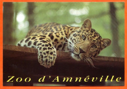 57 Moselle ZOO D AMNEVILLE Animaux Panthere  Parc Zoologique Carte Vierge TBE - Autres & Non Classés