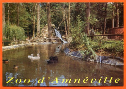 57 Moselle ZOO D AMNEVILLE Animaux Canards Singes Parc Zoologique Carte Vierge TBE - Otros & Sin Clasificación