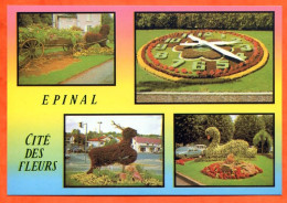 88 EPINAL Cité Des Fleurs Multivues Trophée Entente Florale Européenne Carte Vierge TBE - Epinal