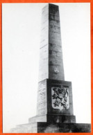 88 DARNEY Monument De Indépendance Franco Tchecoslovaque Détruit En 1940 Par Allemands CIM Carte Vierge TBE - Darney