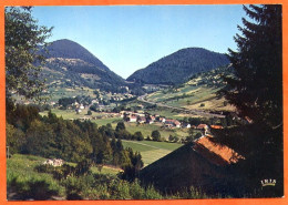 88 BUSSANG Vue Sur Le Col De Bussang Vosges Carte Vierge TBE - Bussang