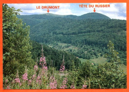 88 BUSSANG Panorama Sur Le Drumont Et Tete Du Russier Vosges Carte Vierge TBE - Bussang
