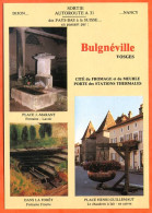 88 BULGNEVILLE Multivues Cité Du Meuble Et Du Fromage Place Guillemaut Marant  Carte Vierge TBE - Bulgneville