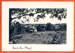 88 BAINS LES BAINS Vue Générale Dentelée Carte Vierge TBE - Bains Les Bains