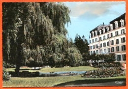 88 BAINS LES BAINS Le Parc St Colomban Le Grand Hotel CIM Dentelée Carte Vierge TBE - Bains Les Bains