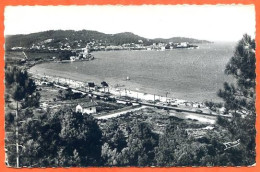 83 SAINTE MAXIME SUR MER Vue Générale Voy 1958 - Sainte-Maxime