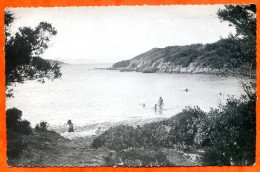 83 PORT CROS Plage Du Sud Dentelée Carte Vierge TBE - Other & Unclassified