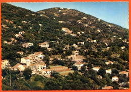 83 LE RAYOL Le Centre De La Station Dentelée Carte Vierge TBE - Rayol-Canadel-sur-Mer