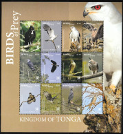 2018 Tonga Birds Of Prey Minisheet (** / MNH / UMM) - Aigles & Rapaces Diurnes