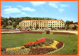 88 GERARDMER Le Grand Hotel Du Lac Carte Vierge TBE - Gerardmer