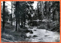 88 GERARDMER La Vologne Au Pont Des Fées  Barin Dentelée Carte Vierge TBE - Gerardmer