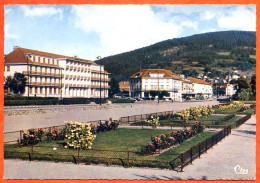 88 GERARDMER La Promenade Et Les Hotels Dentelée CIM Carte Vierge TBE - Gerardmer