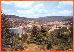 88 GERARDMER Dans Son Nid De Verdure Les Vosges Pittoresques Carte Vierge TBE - Gerardmer