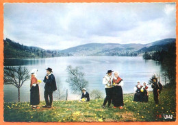 88 GERARDMER Cueillette Jonquilles Bord Du Lac Costumes Carte Vierge TBE - Gerardmer