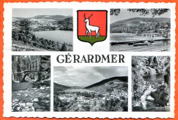 88 GERARDMER Armoiries Multivues Blason Marasco Carte Vierge TBE - Gerardmer