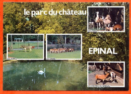 88 EPINAL Multivues Parc Du Chateau Zebres Chevres Lamas Daims - Epinal